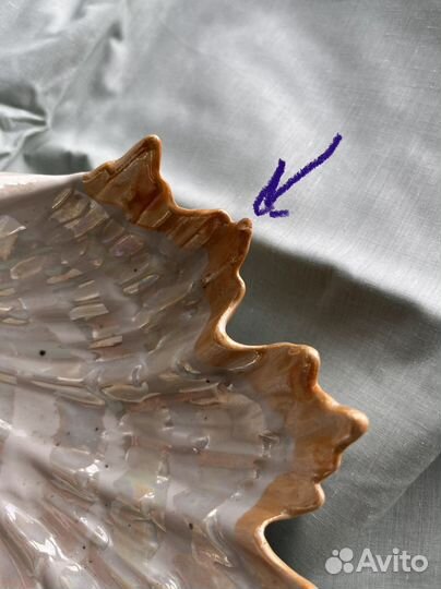 Ракушка, блюдо, винтаж