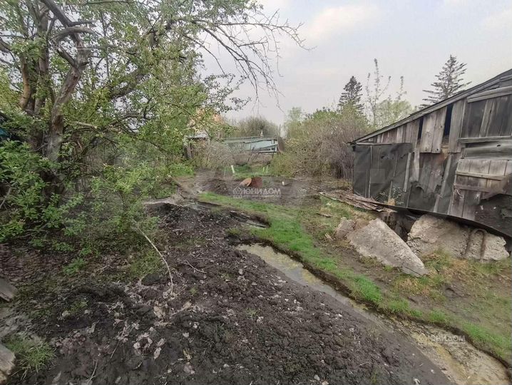 Дом 38 м² на участке 5 сот.