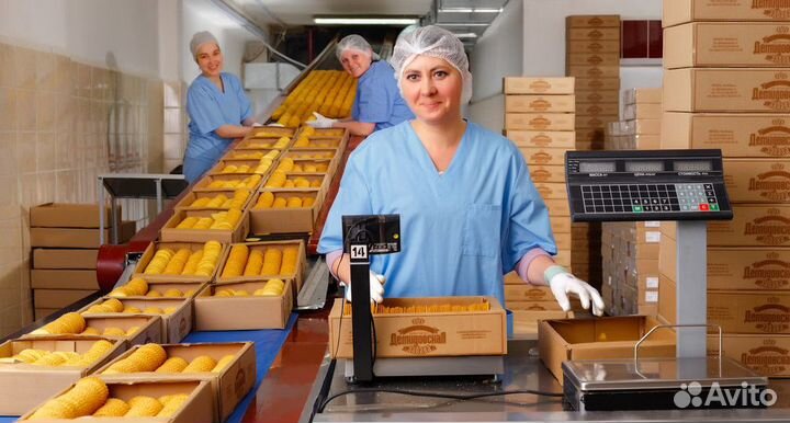 Сборщик коробов + питание/проживание (в Тамбове)