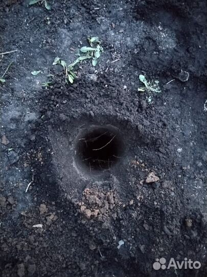 Бурение лунок (ям) бензобуром под столбы и пр