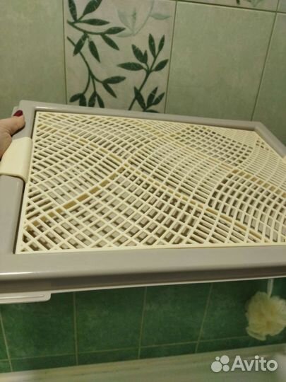 Лоток для маленьких собак