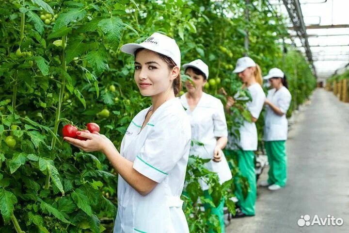 Комплектовщики