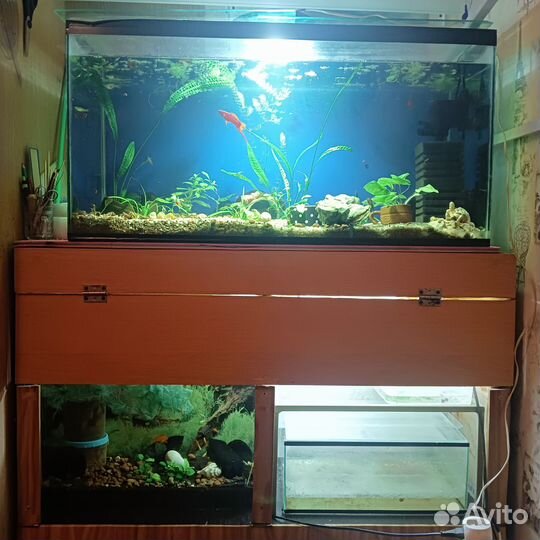 Стеллаж с аквариумами