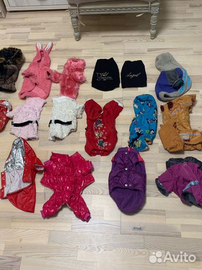 Одежда для собак мелких пород