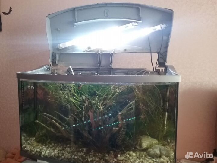 Аквариум