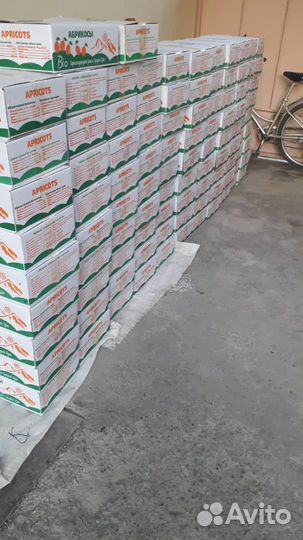 Курага новый урожай