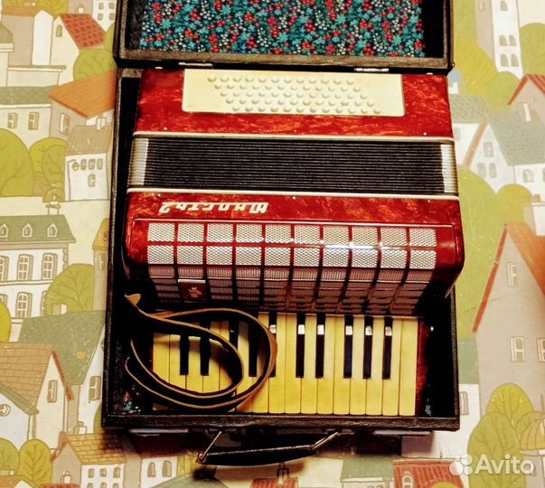 Аккордеон юность 2 с ремешками