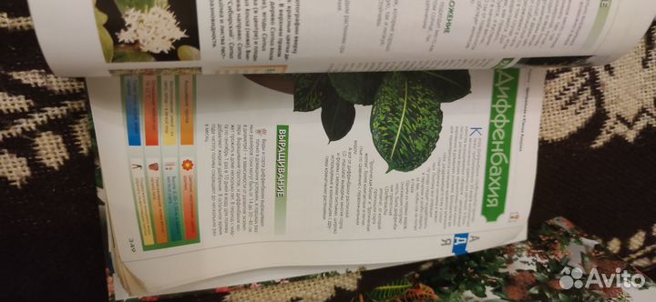 Подборка журналов 