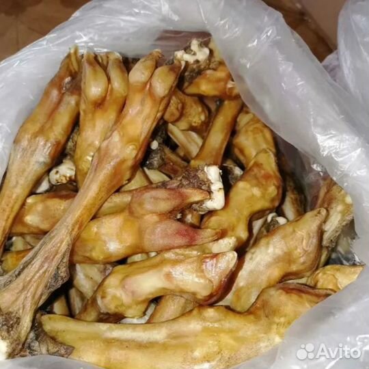 Лакомства для собак