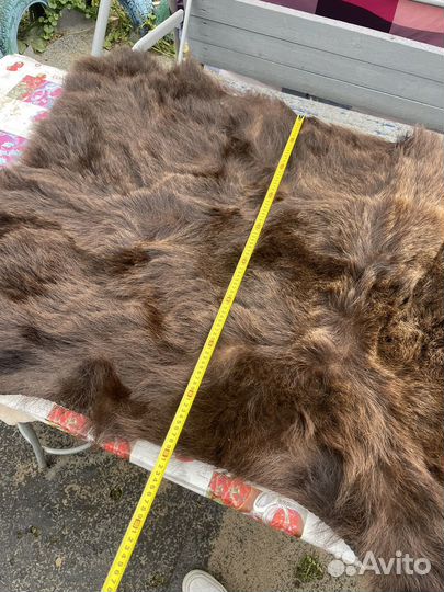 Шкура медведя