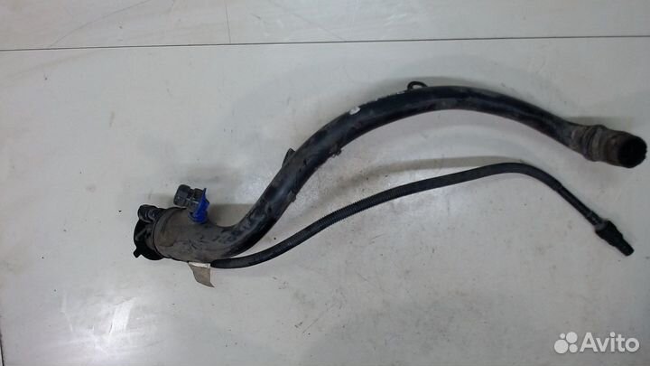 Горловина заливная топливная Renault Kangoo, 2010