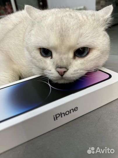 iPhone 14 Pro Max, 256 ГБ