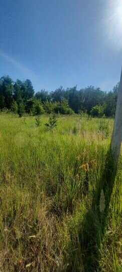 Участок 8 сот. (ИЖС)