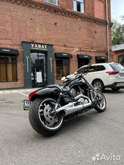 Харлей девидсон v-rod muscle