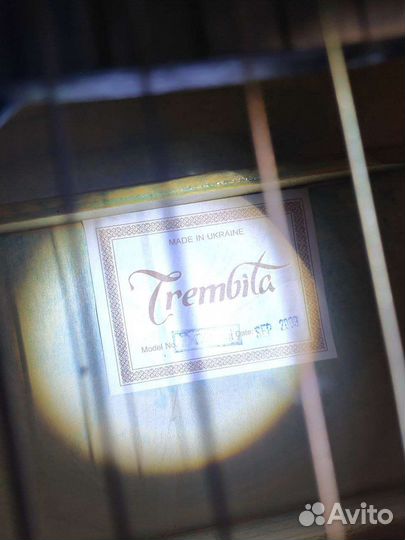 Акустическая гитара