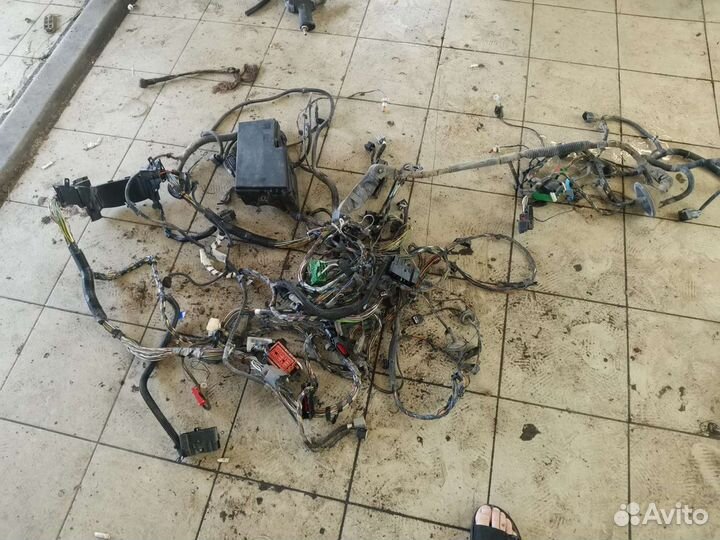 Проводка Ford Focus 2