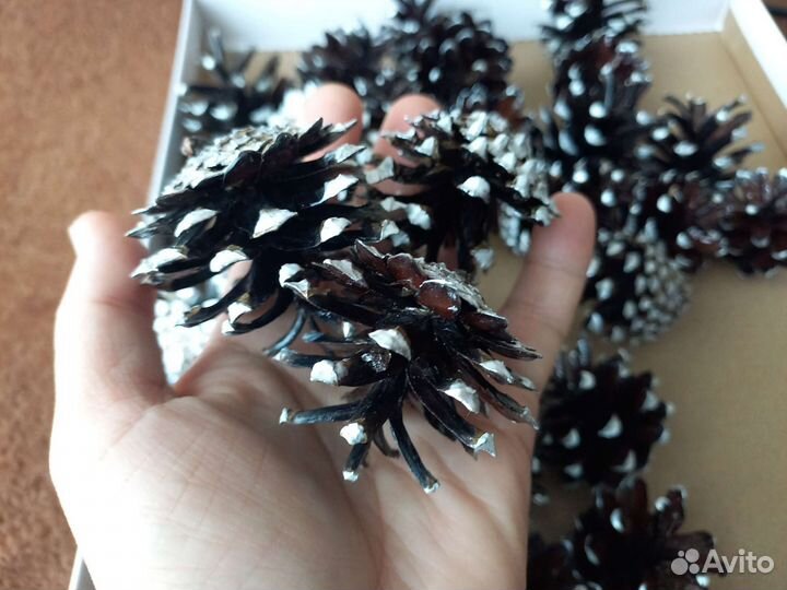 10шт.Красивые,сосновые шишки,лакированные,серебро