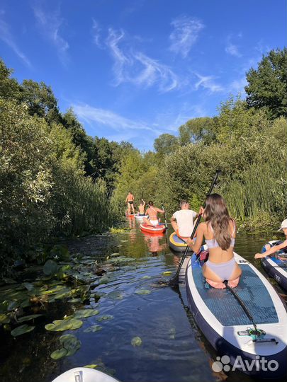 Сапборд аренда, sup, сап
