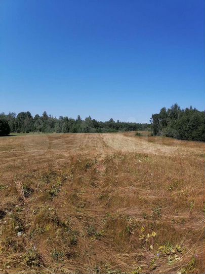 Участок 20 сот. (ИЖС)