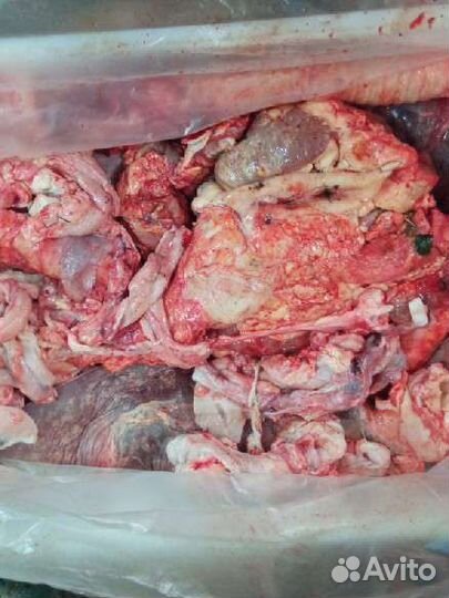 Говяжьи обрези для собак