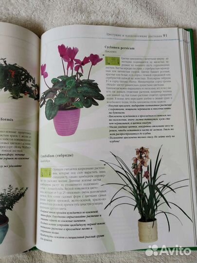 Энциклопедия по цветоводству