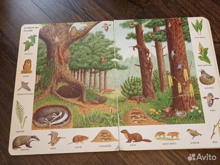 Книга с картинками на чешском языке