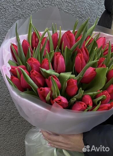 Тюльпаны к 8 марта оптом