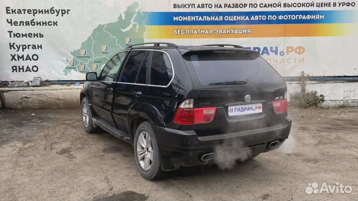 Накладка на порог наружная левая BMW X5 (E53) 5171