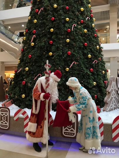 Дед Мороз и Снегурочка на дом, корпоратив, детсад