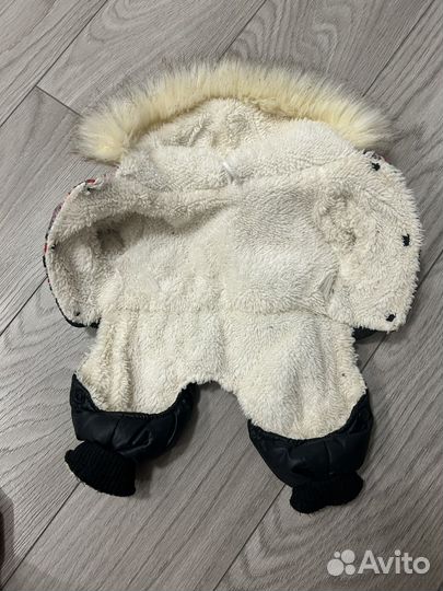 Одежда для маленьких пород собак