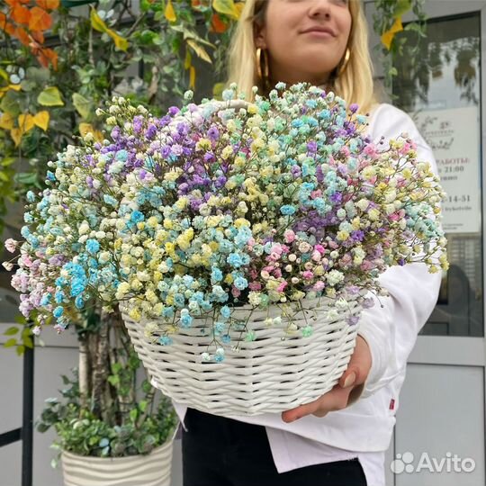 Корзина радужной гипсофилы