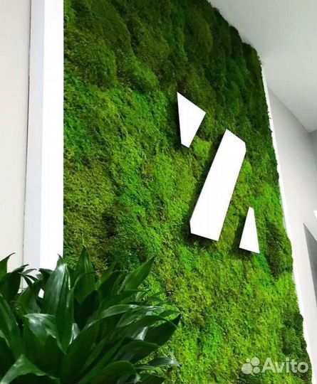 Фитостена панно из мха мох стабилизированный