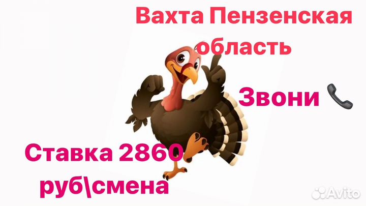 Упаковщик без опыта работы