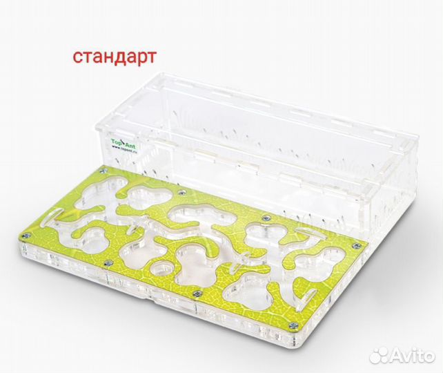 Комплект формикарий (муравьиная ферма)