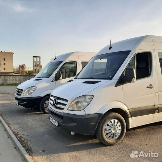 Аренда, заказ, автобуса, трансфер, вахта