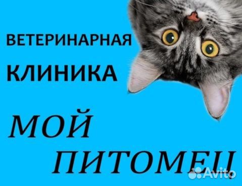 Вызов ветеринара на дом