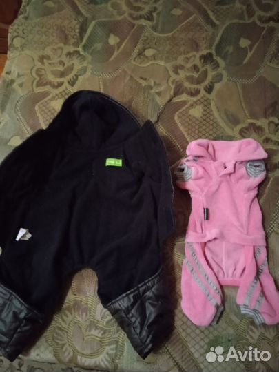 Одежда для маленьких собак