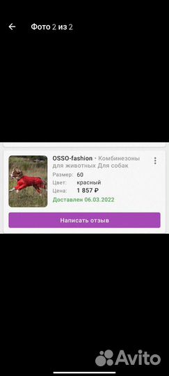 Комбинезон для собаки