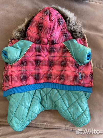 Одежда для животных