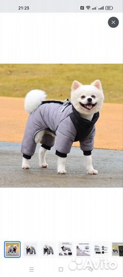 Комбинезон для собаки