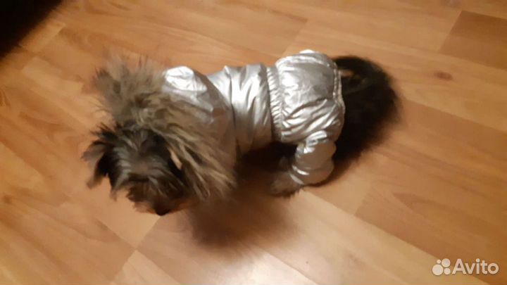 Комбинезон для мальчика