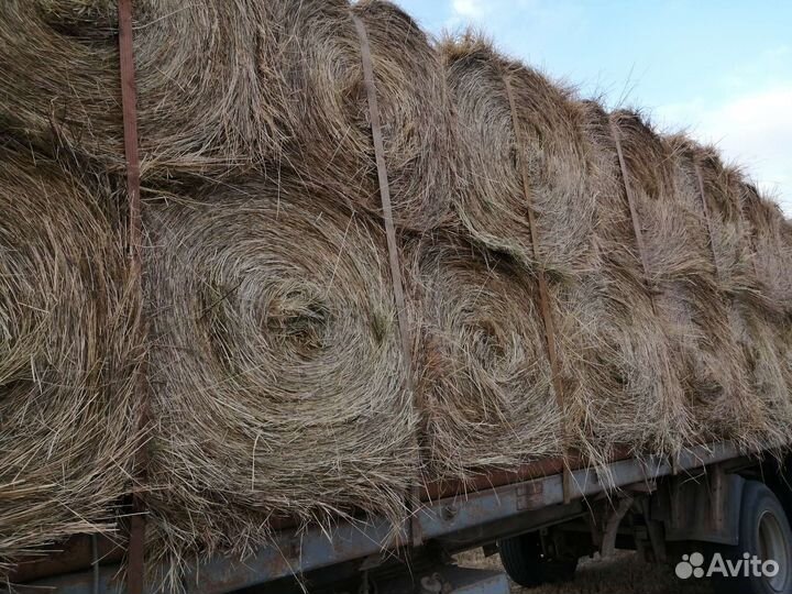 Сено в рулонах с доставкой