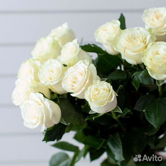 Розы высокие Доставка цветов