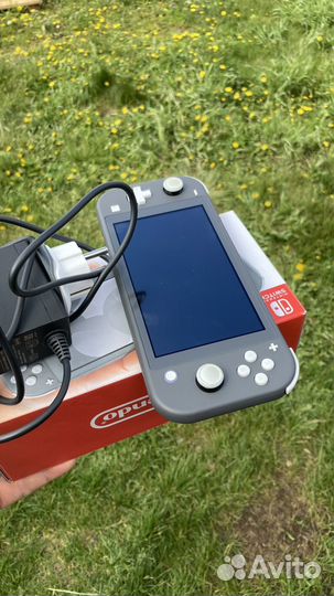 Nintendo switch lite