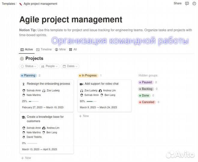 Система Notion. Обучение, внедрение, поддержка