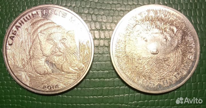 Монеты Казахстана 50 тенге Космос, Красная книга