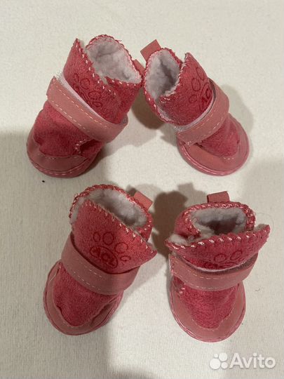 Товары для животных