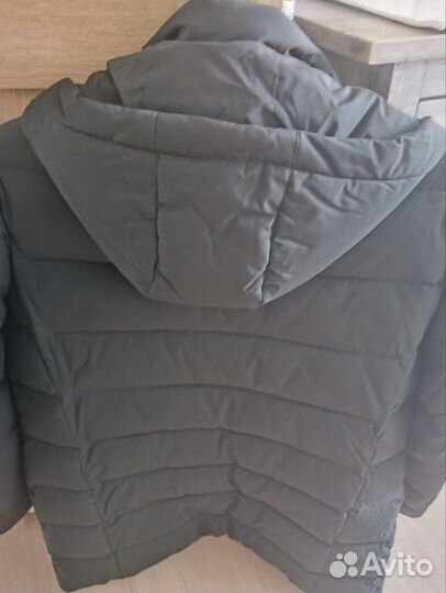 ICEbear оригинал