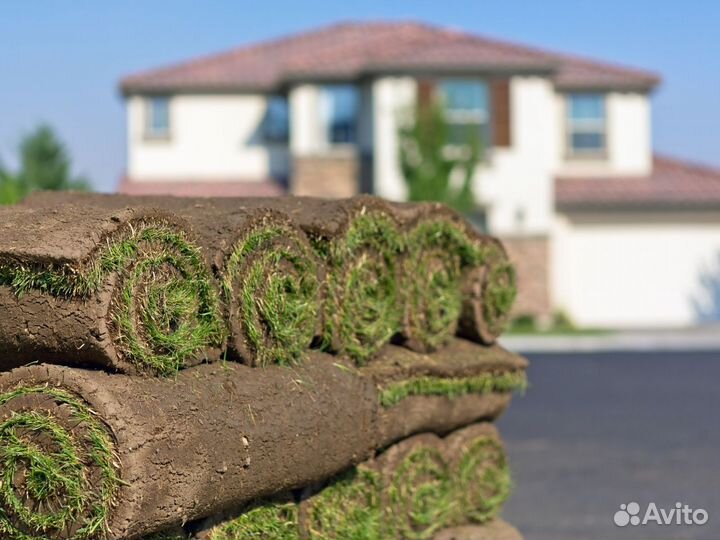 Укладка рулонного газона