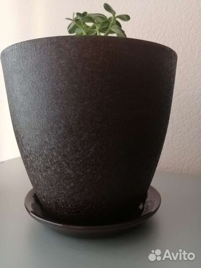 Горшки керамические для цветов